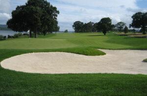 Read more about the article Golf