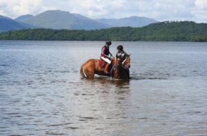 Read more about the article Horse Riding