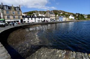 Read more about the article Tarbet